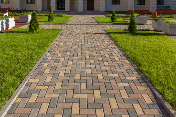 Best Driveway Paving Contractor  in Tremont, PA
